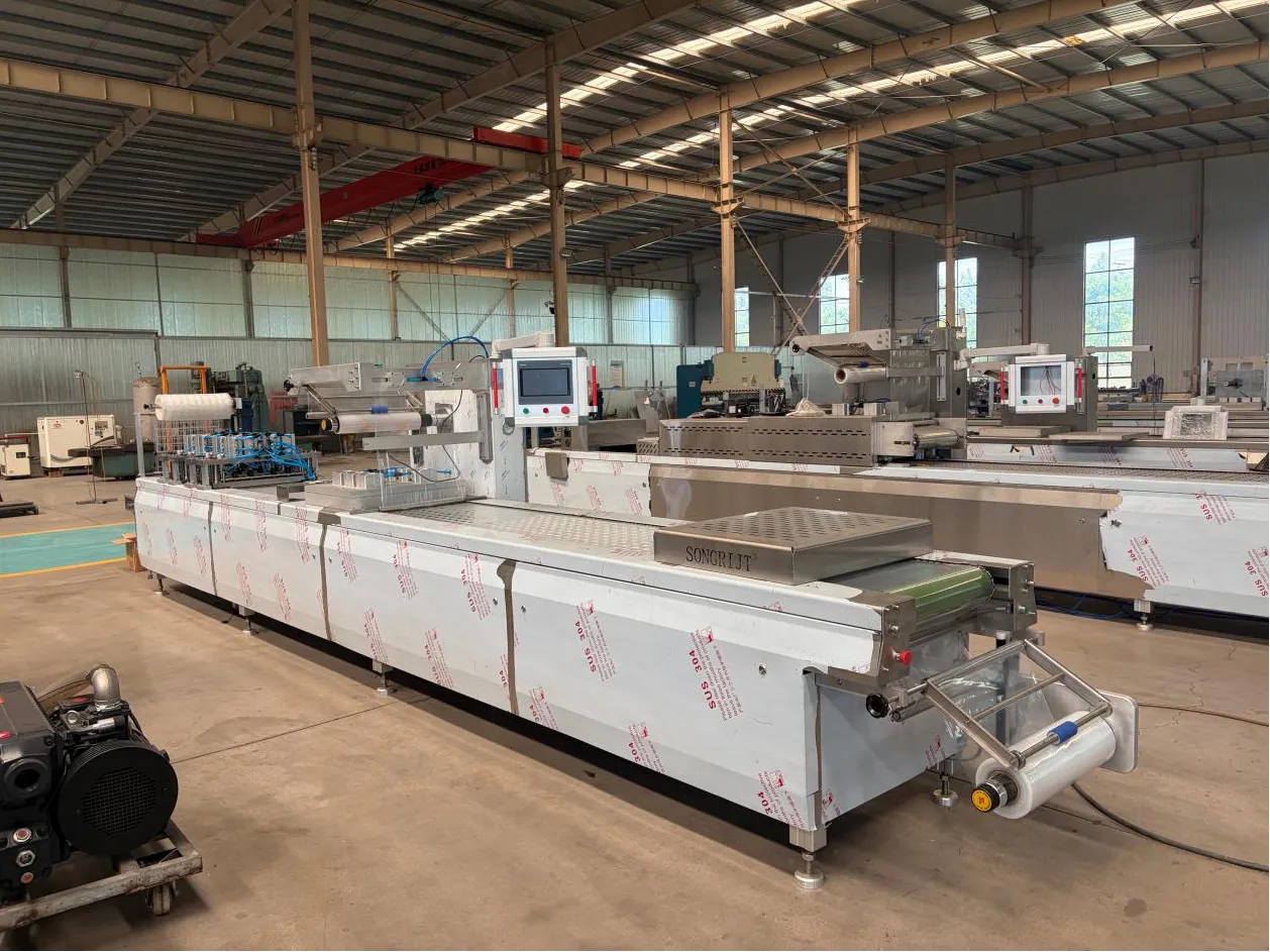 Thermoforming Vacuum Packaging Machine Successfully Completed Ham Packaging Test Run - detail image 2