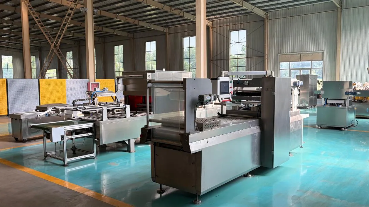 Rolling Vacuum Packaging Machine Optimizes Packaging - detail image 2
