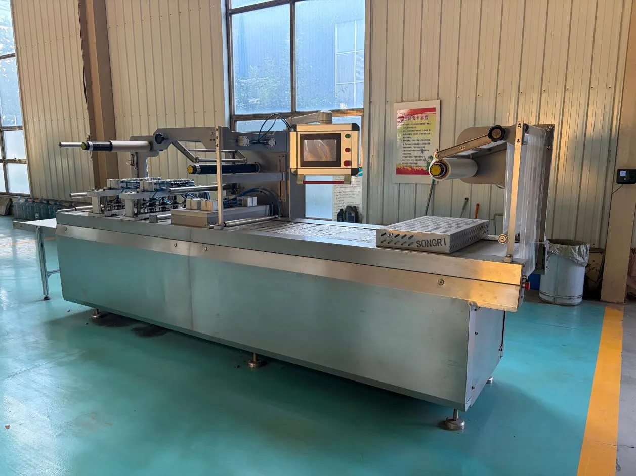 2026 Stretch Film Vacuum Packaging Machine Industry Intelligent Upgrading and Market Expansion Across Food, Pharmaceutic