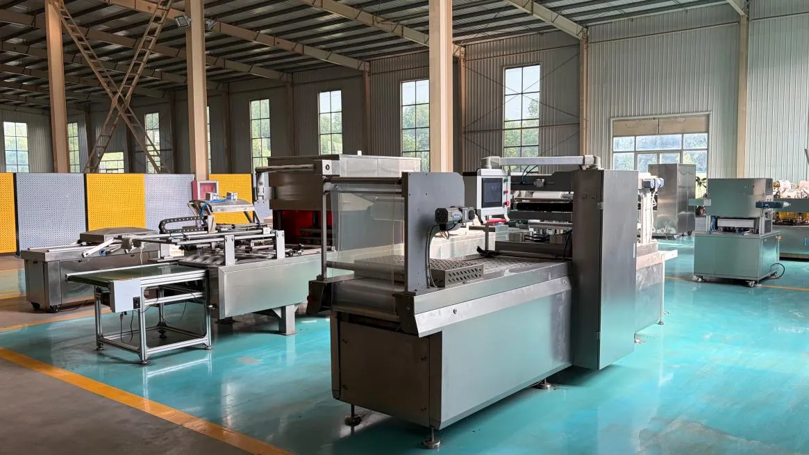 Big Factory vs. Small Workshop The True Value Equation for Stretch Film Vacuum Packaging Machines - detail image 2